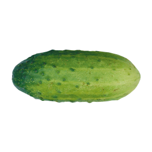 Cucumber PNG-12612